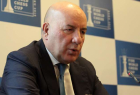 Central Bank’s currency reserves to be increased by year-end – Elman Rustamov